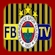 Fenerbahce TV logo
