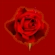 Neesgnorimies logo