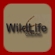 Wildlife Channel logo