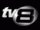 TV8 logo